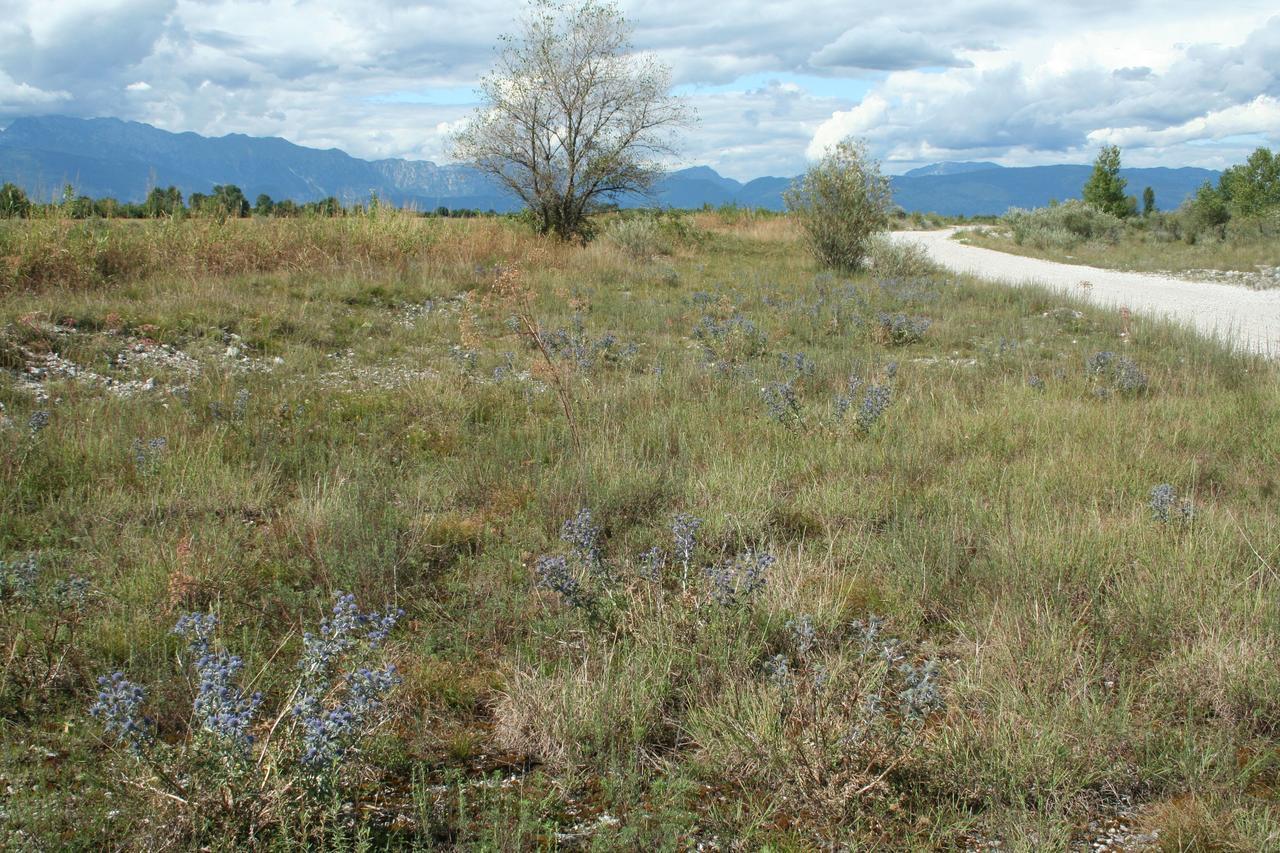 Albergo Diffuso Magredi Vivaro Εξωτερικό φωτογραφία